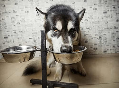 Pet Feeder Stainless Steel Dog Bowls Replacement 2-Pack Food Bowl, 7.5" Wide, 2.7" Height Water Metal Bowls for Raised Feeder with Opening 7"-7.4" - color: Double Pack, size: 5 cup (Standard)