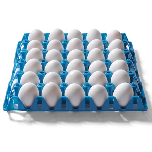 Reusable Egg Tray Plastic Egg Crates Holds 30 Egg Flats for Home Chicken Farmers, Stackable Egg Cartons are Great for Storing, Sorting, and Shipping Eggs (Color May Vary) (10 Pack) - size: 10 Pack