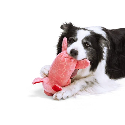 Leaps & Bounds by Petco Tough Pig Dog Toy