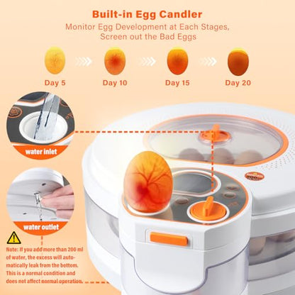 Egg Incubator for Hatching Eggs: Automatic Turner with ±1°F Temperature & Auto Humidity Control - 21-Day Stable Hatching for Chickens - 12-18 Eggs Per Batch - No Assembly