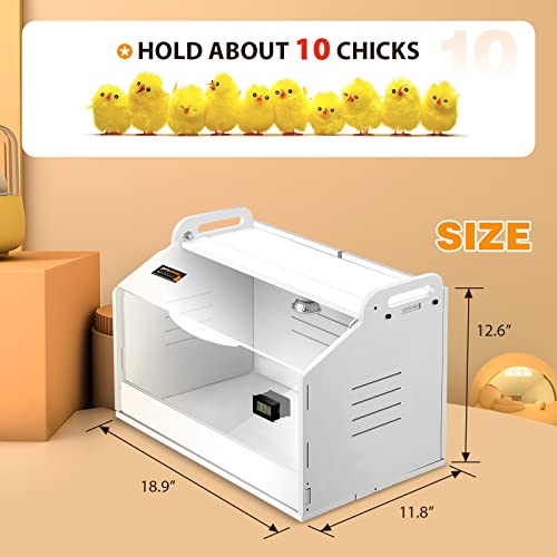 Chicken Brooder Box for Chicks, Quail Brooder with Heating Lamp, 2 Mode Thermometers Warms Up to 10 Chicks for Duckling Parrot Lizard