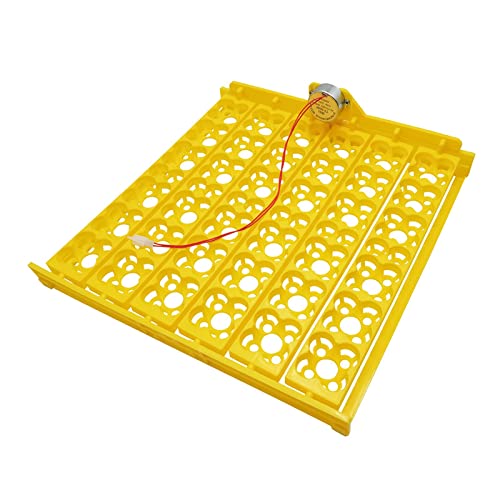 MagiDeal Eggs Incubator Turner Tray with Motor Chicken Quail Egg Hatcher Accessory for Hatching Chicken Birds, US Type