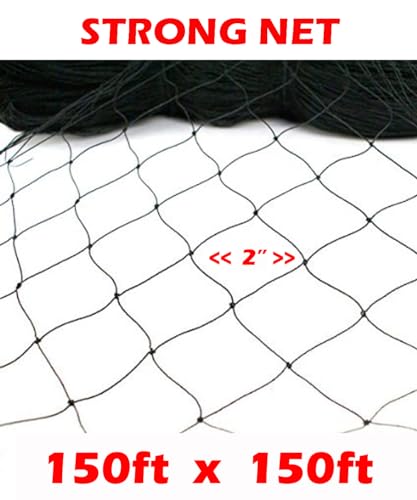 XXX-Large Strong All Season 150' x 150' Net Netting for Bird Poultry Aviary Game Pens New 2" Square Mesh Size (150ft x 150ft) - size: 150ft x 150ft