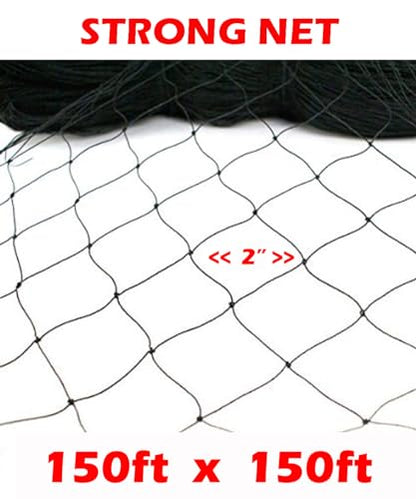 XXX-Large Strong All Season 150' x 150' Net Netting for Bird Poultry Aviary Game Pens New 2" Square Mesh Size (150ft x 150ft) - size: 150ft x 150ft