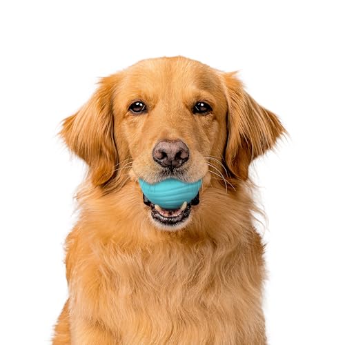 Playology Dog Toys | Dual Layer Ball Durable Chew Toy for Tough Chewers | Peanut Butter Scented Jumbo Dog Toy | Chew Toys for Large Dogs - size: Jumbo, style: Peanut Butter