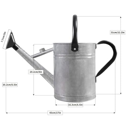 1 Gallon Metal Watering Can with Removable Spout, Nice Galvanized Steel Water Can for Indoor and Outdoor Plants (House Plants) - color: Silver