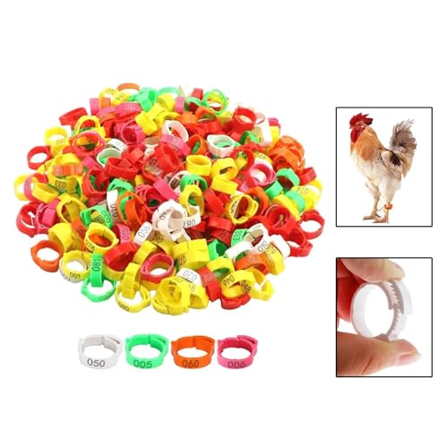 Adjustable Chicken Leg Bands Pack of 100 Chicken Leg Rings Chicken Identification Band with Poultry