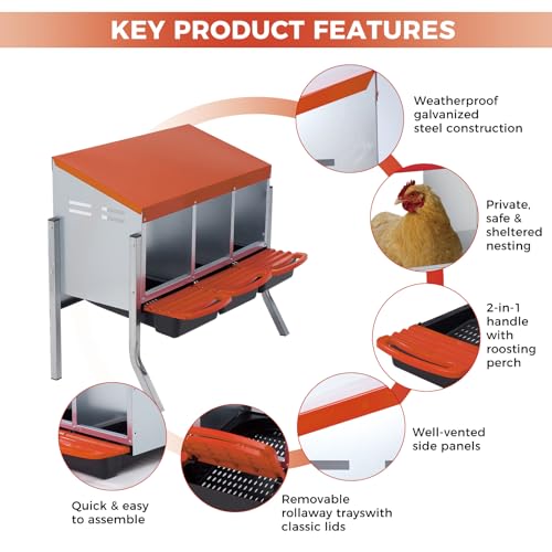 Chicken Nesting Boxes with Cleanable Pull-Out Trays, 3-Hole Wall Mount Roll Away Nest for Easy Cleaning & Egg Collection - size: 3 holes with legs