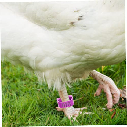ibasenice Adjustable Chicken Leg Bands Numbers 1-100 Poultry Identification Rings Plastic Bird Foot Marking Tools for Pigeons and Chickens