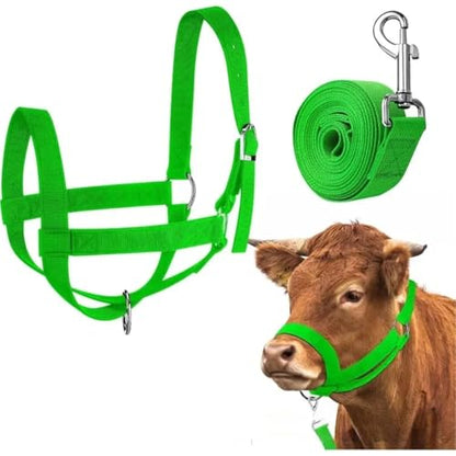Rope Halter for Horses 2pcs Durable Adjustable Halter for Horses Cattle with Heavy Duty Lifting Rope Equestrian Gear