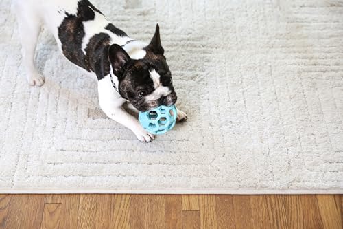 JW Pet HOL-ee Roller™, Dog Toy Puzzle Ball, Natural Rubber, Small (3 Inch Diameter), Blue - color: Blue, size: 3 Inch