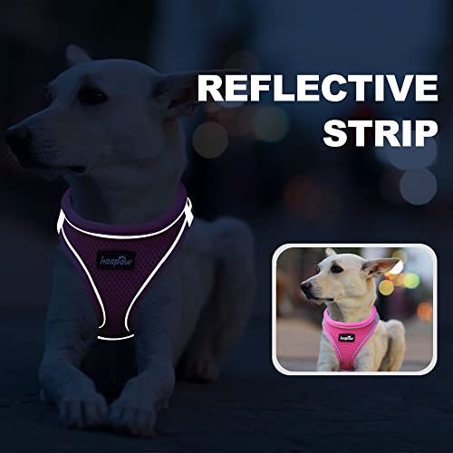 haapaw Dog Harness with Leash Set, No Pull Adjustable Reflective Step-in Puppy Harness with Thickened Padded Vest for Extra-Small/Small Medium Dogs - color: Blue / Pink, size: M