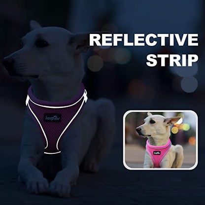 haapaw Dog Harness with Leash Set, No Pull Adjustable Reflective Step-in Puppy Harness with Thickened Padded Vest for Extra-Small/Small Medium Dogs - color: Blue / Pink, size: S