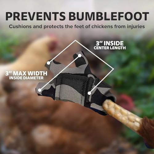 Chicken Shoes for Injured Feet – Protective Neoprene Footwear for Chicken, Open-Toe Design for Bumblefoot Relief, Made in USA (Chicken Shoes, Gray Camouflage, Medium Chickens) - color: Gray Camouflage
