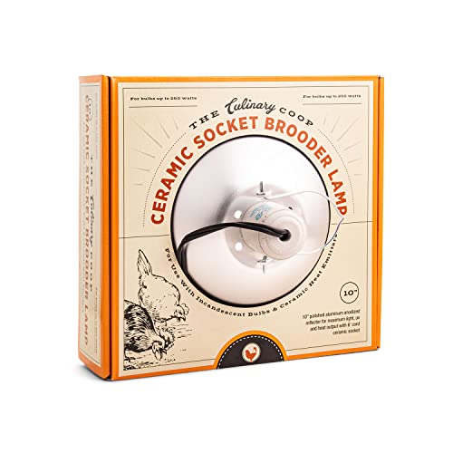 Fluker's Culinary Coop Brooder Lamp for Chicken Coop or Outdoor Animals, 10-Inch