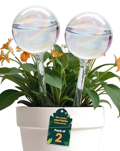 Iridescent Self Watering Globes, Glass Rainbow Plant Watering Globes, Self Watering Planter Insert, Automatic Plant Waterer Indoor (Large-2 Pcs Iridescent, Large) - color: Large - 2 Pcs (Pack of 1)
