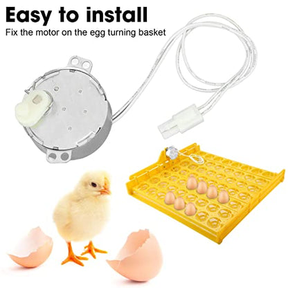 Replacement Egg Turner Motor, 4W Egg Turner Rotator Incubator Motor Electric Synchron Motor with Connector for Chickens Ducks Goose Birds Egg Hatching (100-120v)