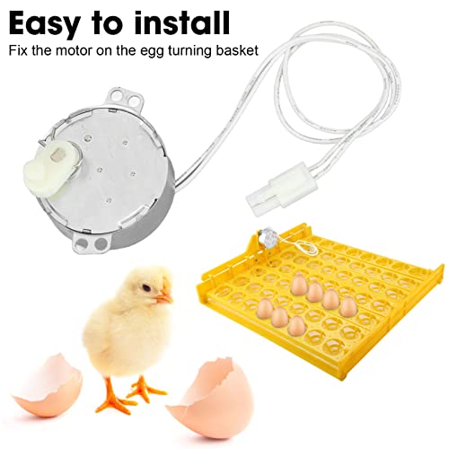 GLOGLOW Egg Turner Motor, Low Power Dissipation Incubator Motor Replacement for Home Use 100-120V Automatic Poultry Egg Turner for Chicken Duck Quail Hatching