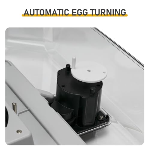 48 Chicken Egg Incubator, Automatic Egg Turner & Built-in Egg Candler, Easy-to-Read Humidity Display, Clear 360° Visibility for Home & Classroom Hatching