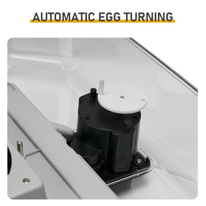 48H Pro 48-Egg Incubator, Fully Automatic Egg Turner with LED Candler & Auto Temperature Humidity Control, Digital Fahrenheit Display, Clear Lid for Hatching Chicken, Duck, Quail Eggs - 110V