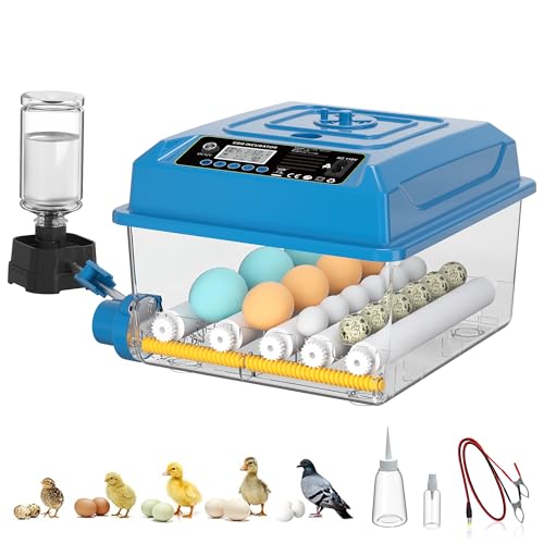 CoInceptus 16 Eggs Incubators for Hatching Eggs, Egg Incubator with Automatic Egg Turning, Chicken Egg Incubator with Humidity and Incubation Day Display, Incubator with Egg Candler for Poultry(Blue) - color: Blue, size: 16 Egg