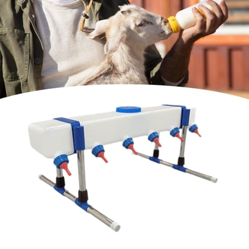 Lamb Drink Feeder Calf Feeding for Nursing,Little Cow Calf Milk Drinking Farm Livestock Breeding Feeder for Farm Lamb, 6 Head with Holder