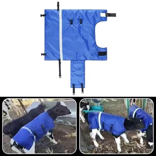 Calf-Warming Clothing, Calf-Warming Blanket, Windproof Oxford, Keeping Calves Warm, Accessories, Blue Jacket, L Cottons - color: L Cottons