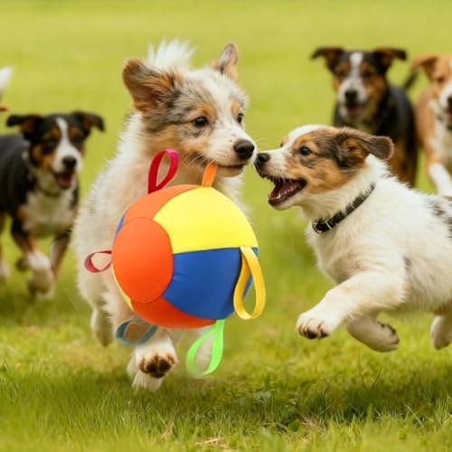 Heavy Duty Herding Ball for Dogs Horses Sheep, Inflatable Interactive Play Toy, Durable Training Exercise Ball for Pets Outdoor Activity (S:25CM) - size: S:25CM