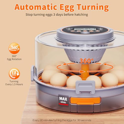 12 Egg Incubator with Automatic Egg Turning and Humidity Control 760° Turner,Incubators for Hatching Eggs, High Hatchr for Chicken Duck Quail Pigeon,Science Classroom, Home | Incubator for Chicken Eggs,Duck,Goose,Quail,Snake,Egg Incubator with Automatic E