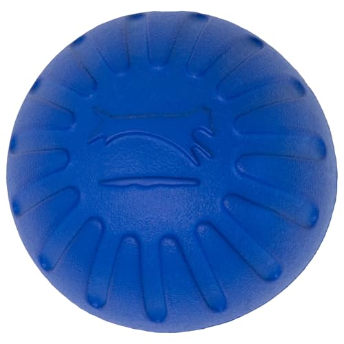 Fantastic Foam Large Ball, Colors Vary - size: Large