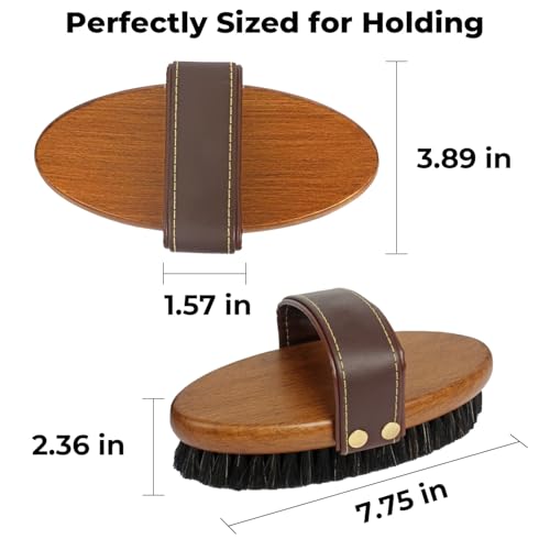 HOP Professional Equine Stiff Body Brush – Heavy Duty Mud & Sweat Remover – Natural Hard Bristles with Ergonomic Wood Handle – Adjustable Leather Strap for Grooming Horses & Livestock