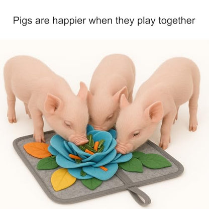 Pig Snuffle Mat and Snuffle Ball for Pigs – Pig Enrichment Toys for Mini Pigs, Potbellied Pigs & Farm Use – Interactive Foraging & Rooting Toy, Slow Feeding Pig Toys Accessories