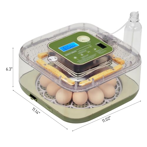 12 Egg Incubator w/Automatic Turning, LED Candling, Digital Temperature & Humidity Display, Fahrenheit LCD, for Chicken Eggs, US Standard 110v, Poultry Incubator, Mini Egg Incubator, Egg Hatching Kit