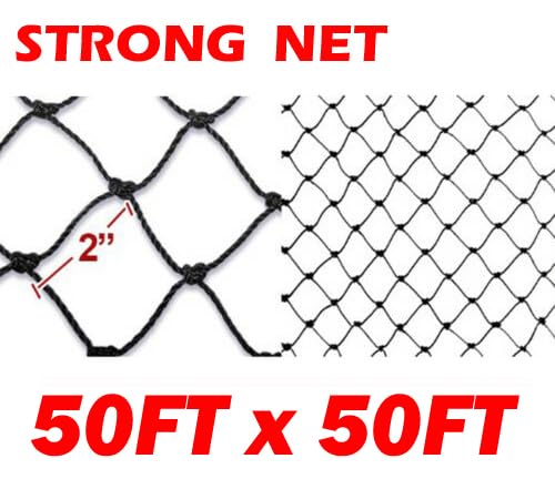 Strong All Season 50ft X 100ft Net Long Lasting Netting for Bird Poultry Aviary Game Pens New 2" Square Mesh Size - size: 50ft x 100ft
