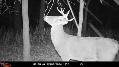 Wildgame Innovations Insite-V Cellular Trail Camera 32 MP, 80ft Detection - size: Single