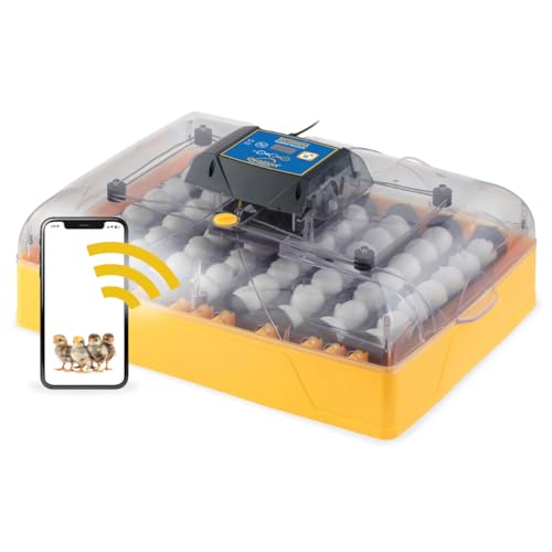 Brinsea Ovation 56 EX Connect App Controlled Egg Incubator with Automatic Egg Turning and Humidity Control for Hatching 56 Chicken, Duck, Other Eggs, Precision App-Driven Digital Controls and Alarms - style: Connected
