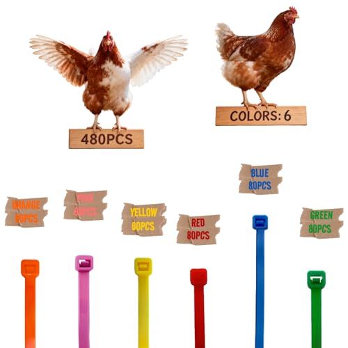 Vibrant 480Pcs Chick Chicken Leg Bands - Easily Identify Your Poultry with Colorful Leg Bands -Durable and Bright Colors Long-Lasting Visibility - Perfect for Chicken, Duck, and Goose Owners