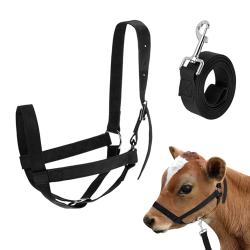 M METERXITY 1-Pack Adjustable Cattle Cow Calf Halter, 18.9"-23.23" Nylon Livestock Cow Halter with Leading Rope for Miniature Horse/Donkey/Goat/Cattle [Black] - color: Black, size: 18.9"-23.23"