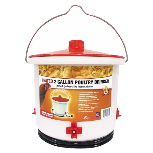 Farm Innovators 2 Pack Heated Chicken Waterer, Poultry Drinker Bucket, 2 Gallon - color: 2 Gallon, size: 2 Pack
