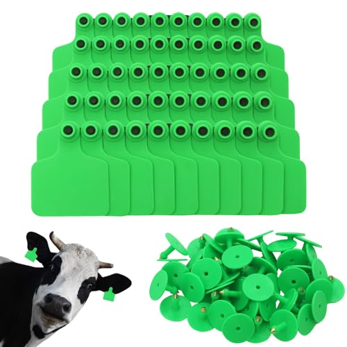100PCS Identification TPU Precision Blank Cattle Ear Tags for Cattle Goats Sheep Pigs Hogs Calf Cows Tags Livestock (Green) - color: Green
