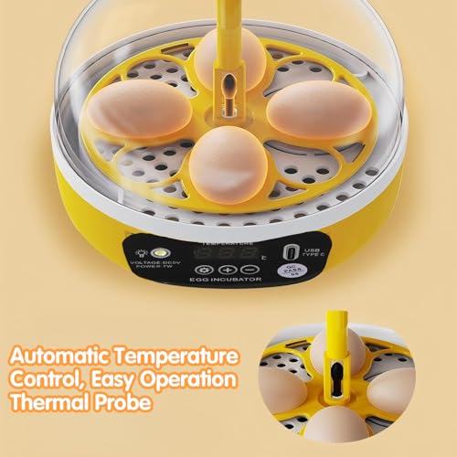 Tissting 4 Eggs Mini Incubator with Transparent Lid,7W Automatic Temperature Humidity Control,Household Small Poultry Hatching Machine,for Chickens Ducks Pigeons (Manual Turning) - color: 4 Eggs Manual Turning
