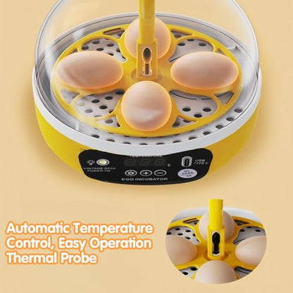 Tissting 4 Eggs Mini Incubator with Transparent Lid,7W Automatic Temperature Humidity Control,Household Small Poultry Hatching Machine,for Chickens Ducks Pigeons (Manual Turning) - color: 4 Eggs Manual Turning