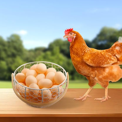 2PCS Wire Egg Baskets for Gathering Fresh Egg With Handle, Farmhouse Round Metal Egg Collecting Basket, Rustic Eggs Holder Basket for Kitchen Countertop (White)