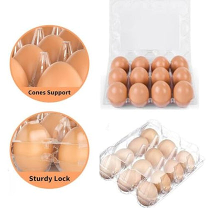 Honkenda Plastic Egg Cartons Cheap Bulk, Clear Eggs Holder Storage Container, Empty Chicken Egg Tray with Hinge Lid, 12 Grids Egg Protection Box for Refrigerator Farm Market Home (40 Pack)
