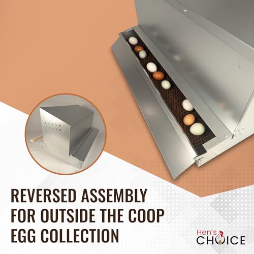 Hen's Choice™ - Roll Out Nest Box for Chickens | Roll Away Nest Box | 3 Compartment 36" | Heavy Duty Galvanized - size: Large 36"