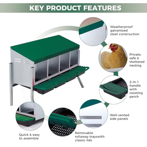 Garvee 4-Hole Rollaway Chicken Nesting Box for Hens –Chicken Nest Box with Removable Trays, Easy Egg Collection & Cleaning, Wall Mount or Freestanding, Sturdy Chicken Laying Boxes, Green - color: Green-4 grids with legs
