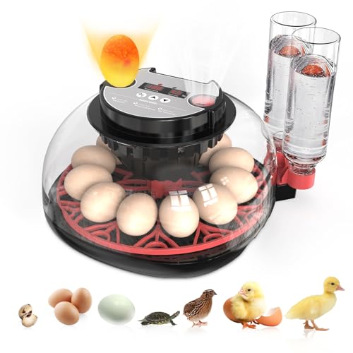 Incubators for Hatching Eggs Automatic Egg Incubator with Temperature Control Humidity Display 12 Egg Capacity for Chicken Duck Goose Eggs Digital Display Auto Turner 360° View - color: Red Black