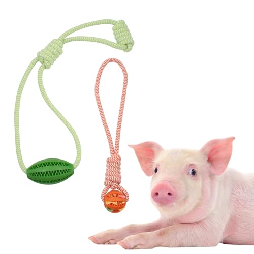 3 PCS Mini Pig Supplies Enrichment Toys, Hanging Treat Ball with Rope, Interactive Plastic Food Chew Ball for Pellets & Grains for Pet Pig