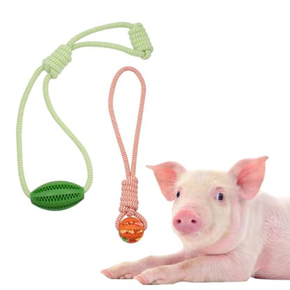 3 PCS Mini Pig Supplies Enrichment Toys, Hanging Treat Ball with Rope, Interactive Plastic Food Chew Ball for Pellets & Grains for Pet Pig