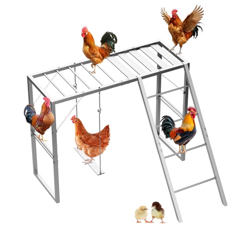 Metal Chicken Perch with Swing Set and Ladder, Rustproof Roosting Bars for Chickens in Coop or Run, Outdoor Chicken Playground & Jungle Gym Accessories to Keep Flock Happy and Active, Gray - color: Gray